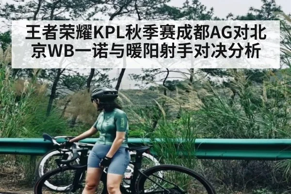 王者荣耀KPL秋季赛成都AG对北京WB一诺与暖阳射手对决分析
